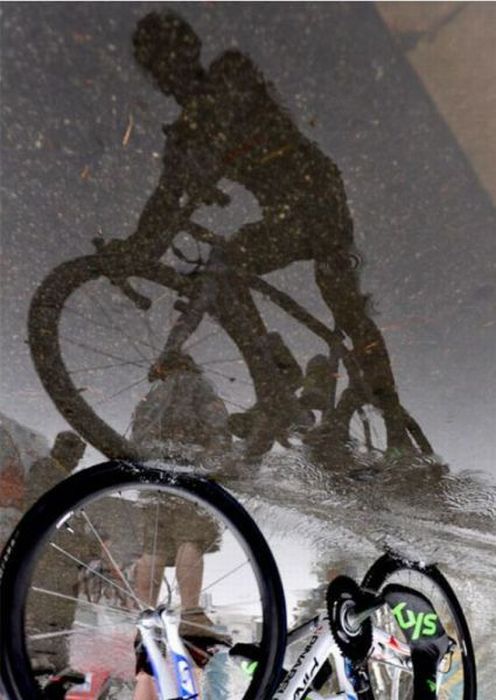 Прикольные картинки (101 фото)