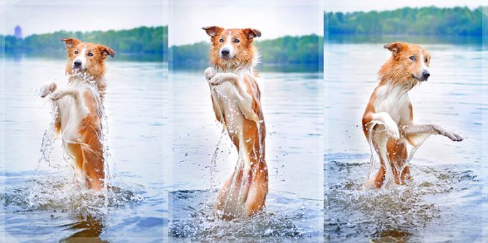 Прикольные картинки (101 фото)