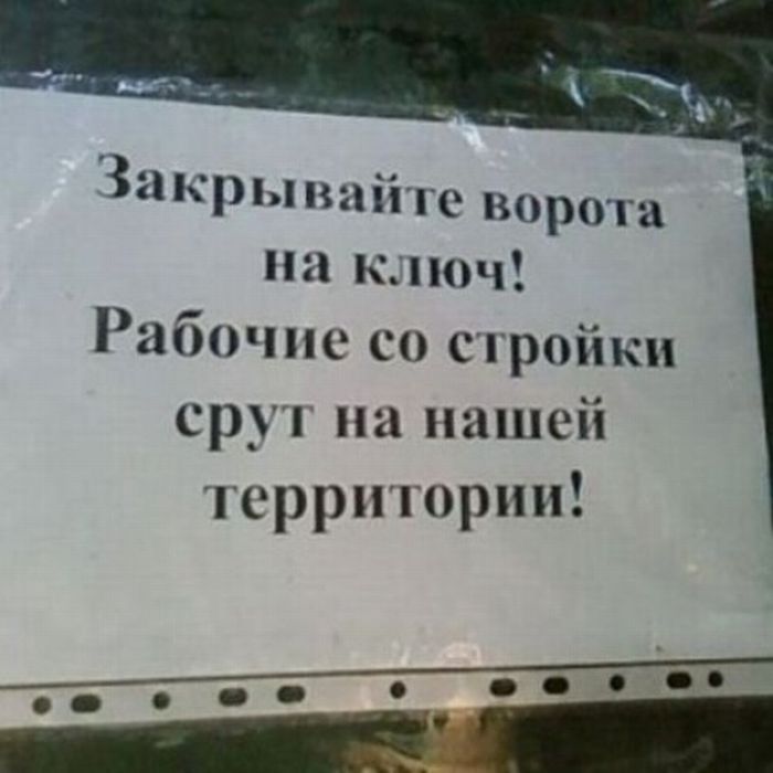 Прикольные картинки (98 фото)