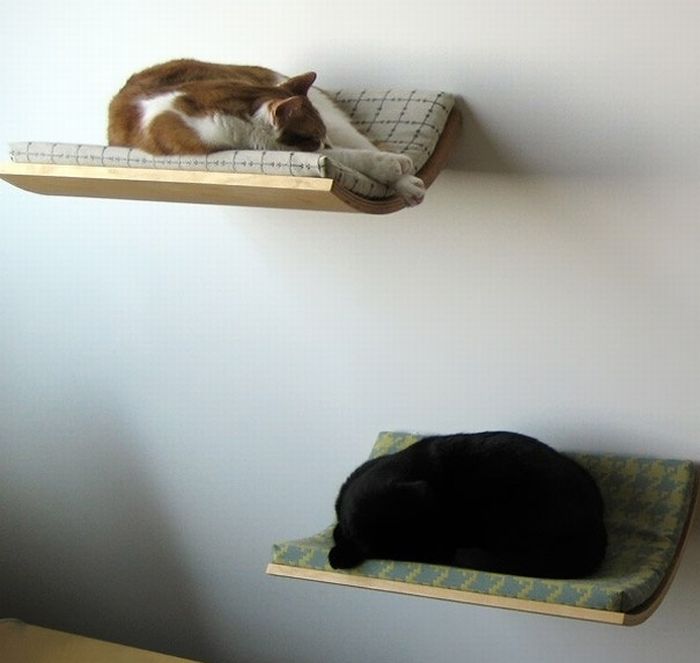 Прикольные картинки (98 фото)