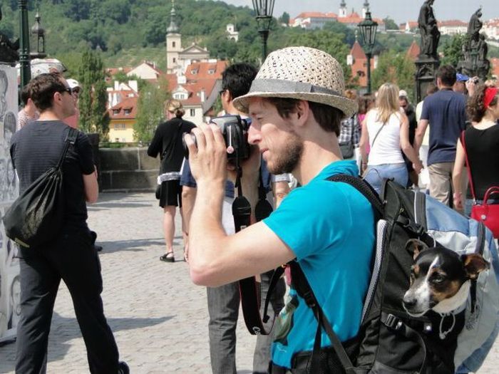 Прикольные картинки (98 фото)