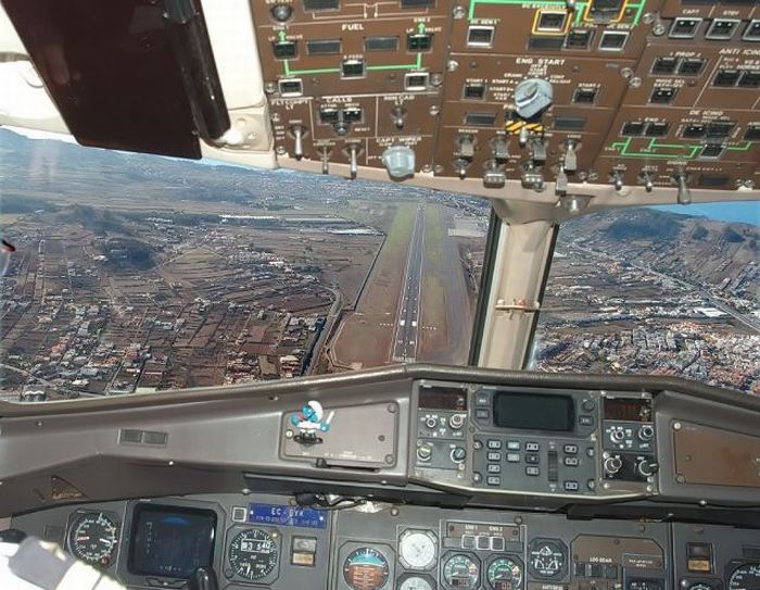 Прикольные картинки (98 фото)