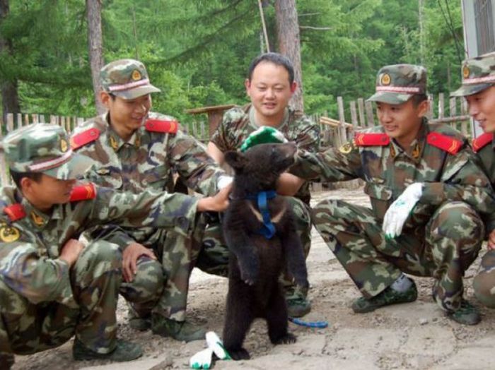 Прикольные картинки (98 фото)