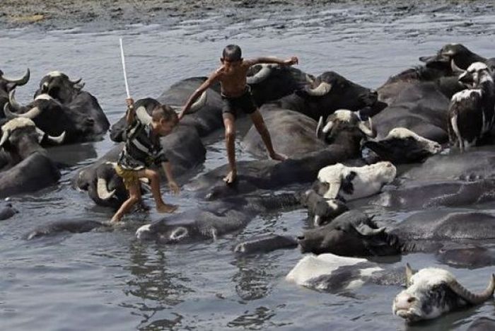 Прикольные картинки (98 фото)