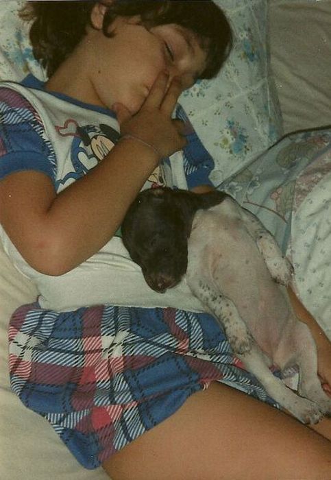 Прикольные картинки (98 фото)