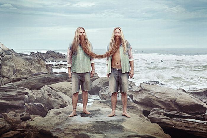 Прикольные картинки (98 фото)