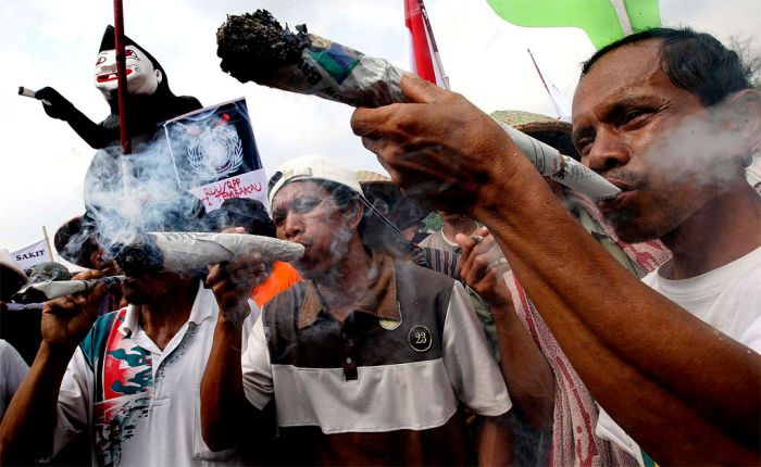 Прикольные картинки (98 фото)