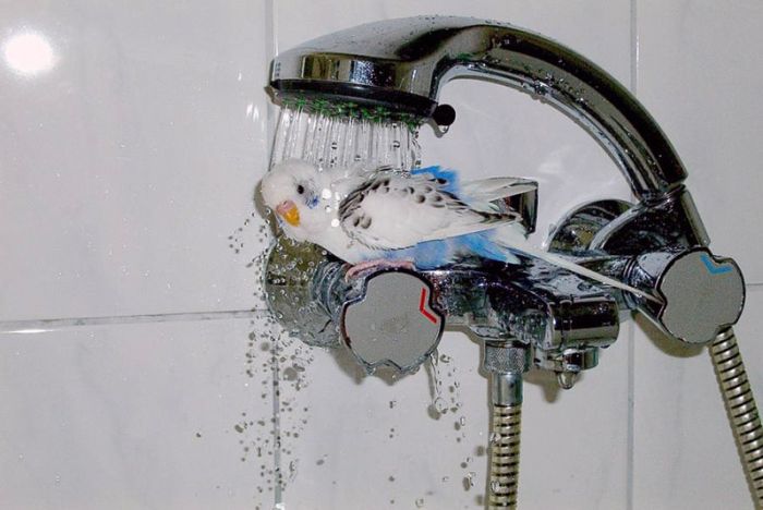 Прикольные картинки (98 фото)