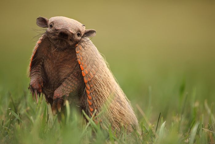 Прикольные картинки (98 фото)