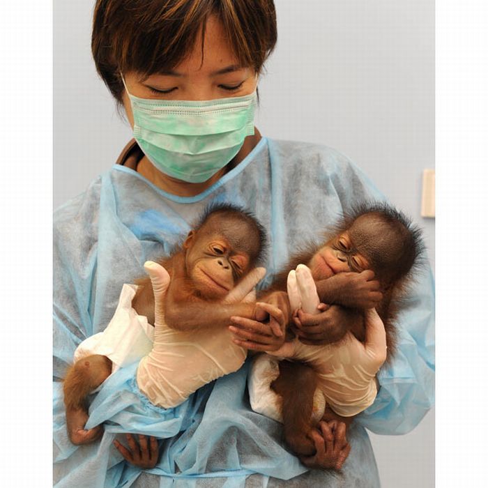 Прикольные картинки (98 фото)