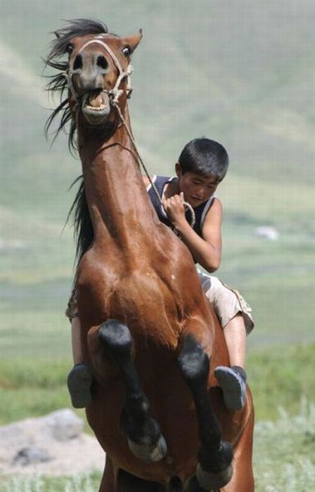 Прикольные картинки (102 фото)