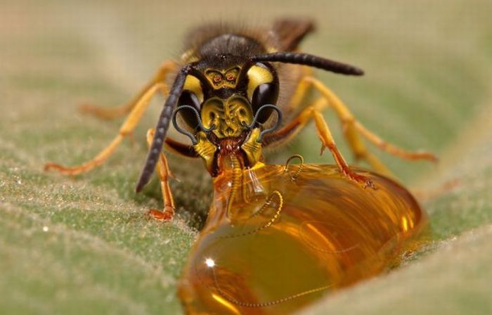 Прикольные картинки (102 фото)