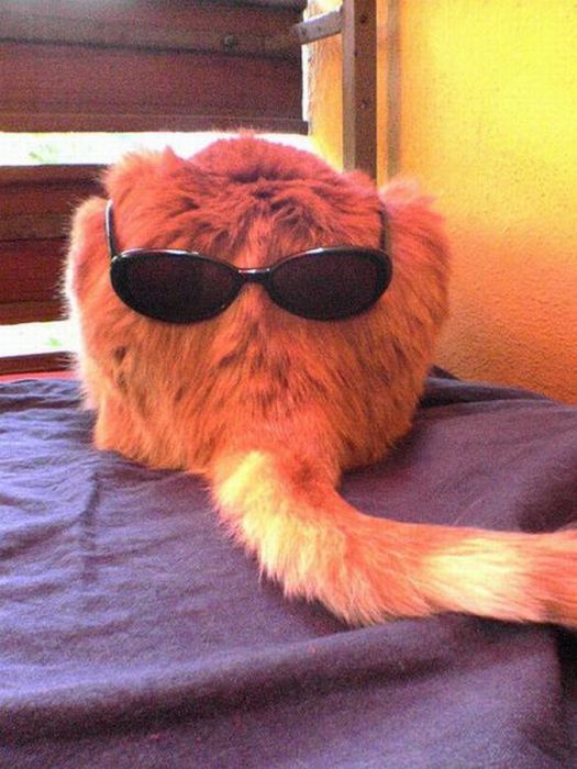 Прикольные картинки (102 фото)