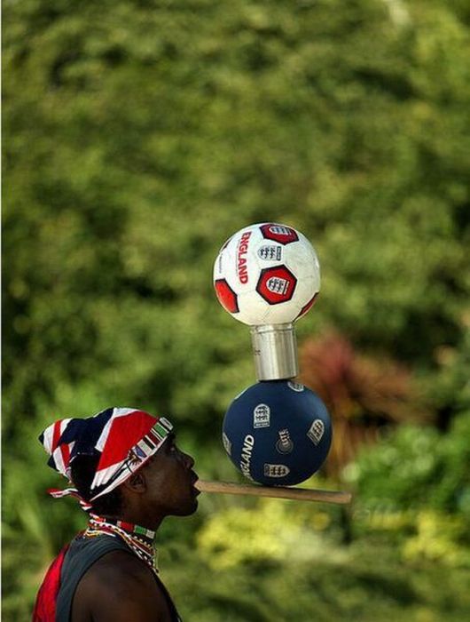 Прикольные картинки (102 фото)