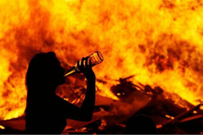 Прикольные картинки (102 фото)