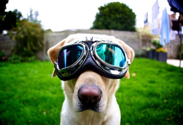 Прикольные картинки (93 фото)