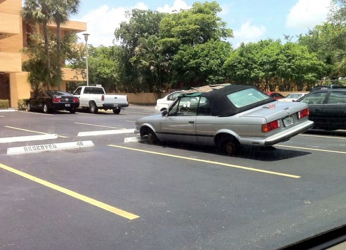 Прикольные картинки (93 фото)