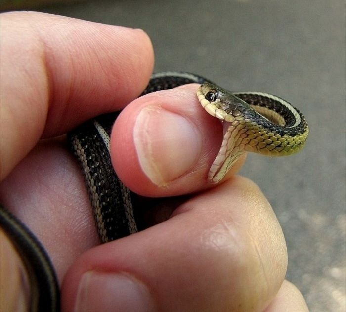 Прикольные картинки (93 фото)