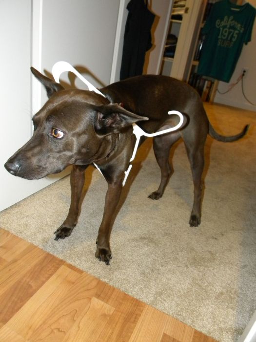 Прикольные картинки (93 фото)