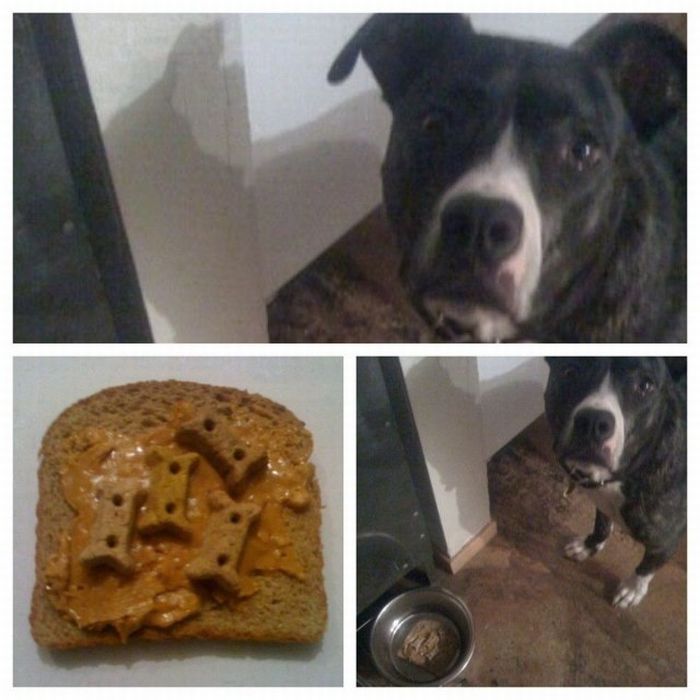 Прикольные картинки (93 фото)