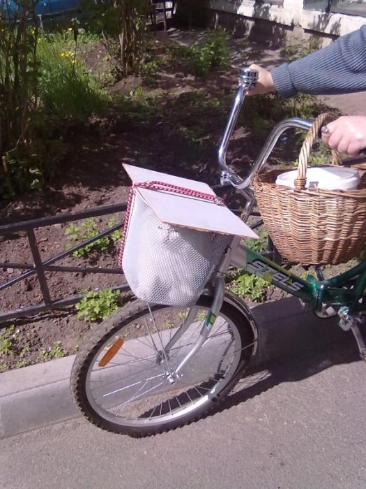 Прикольные картинки (93 фото)