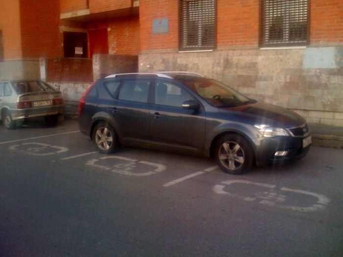 Прикольные картинки (93 фото)