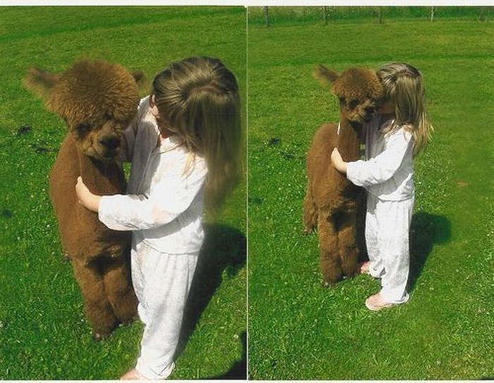 Прикольные картинки (93 фото)