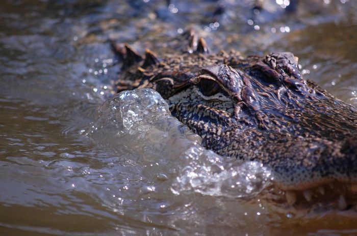 Прикольные картинки (93 фото)