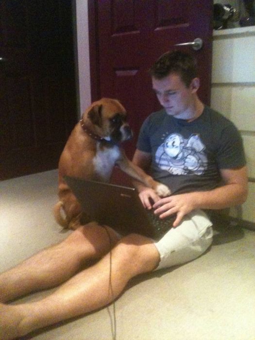 Прикольные картинки (93 фото)