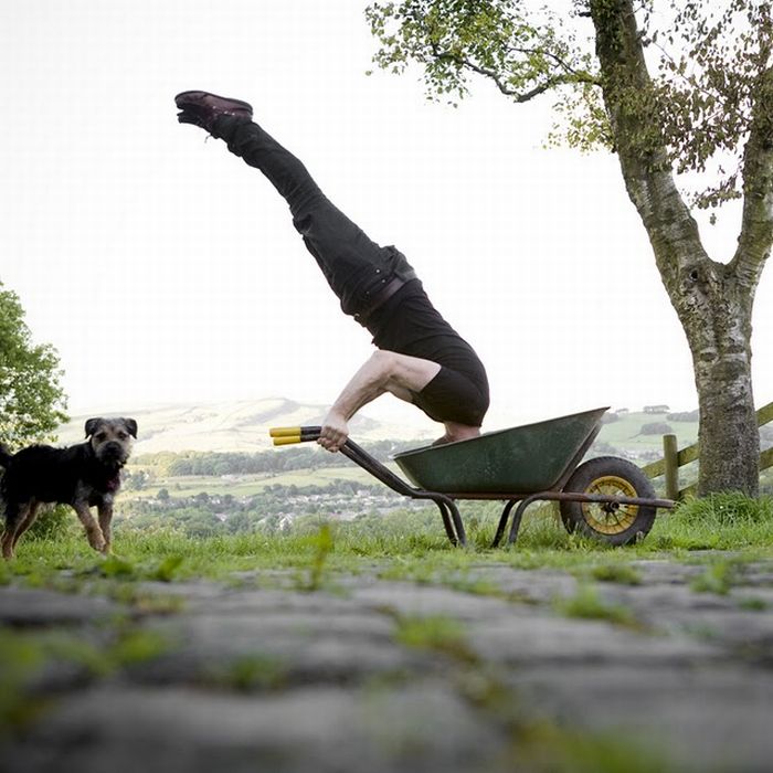 Прикольные картинки (93 фото)