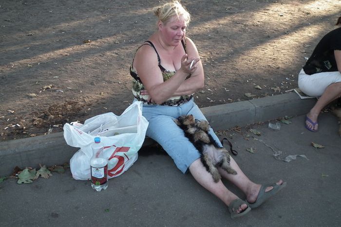 Прикольные картинки (93 фото)