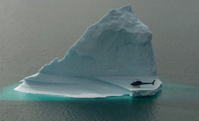 Прикольные картинки (93 фото)