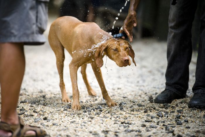 Прикольные картинки (93 фото)