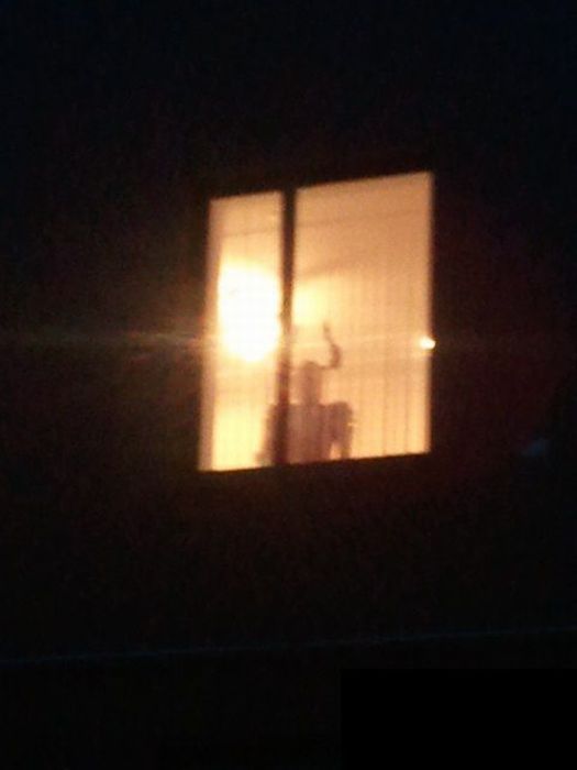 Прикольные картинки (83 фото)