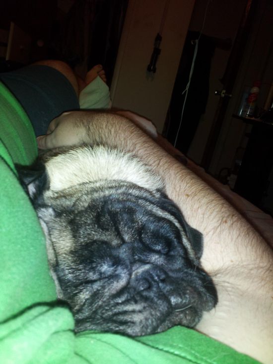 Прикольные картинки (88 фото)