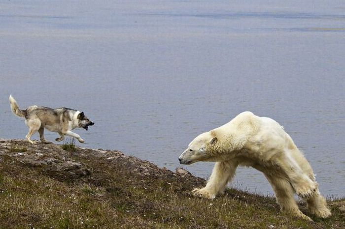 Прикольные картинки (96 фото)