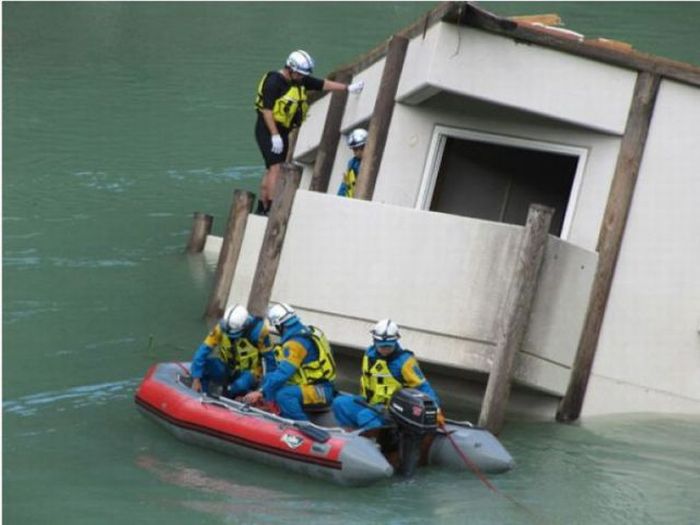 Прикольные картинки (96 фото)