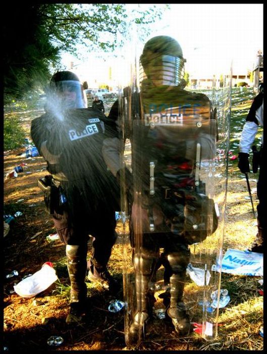 Прикольные картинки (96 фото)