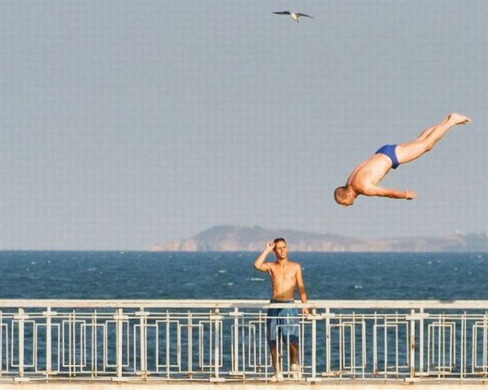 Прикольные картинки (126 фото)