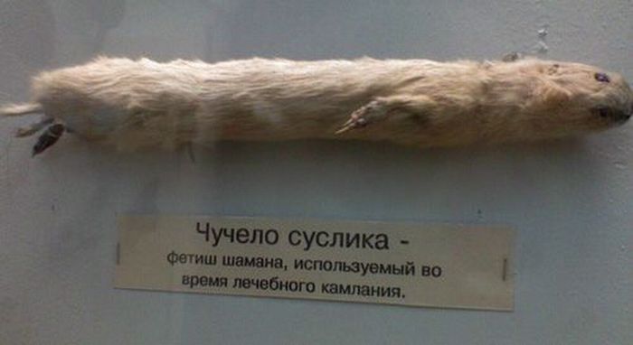 Прикольные картинки (126 фото)