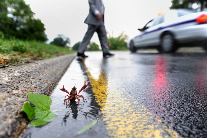 Прикольные картинки (126 фото)