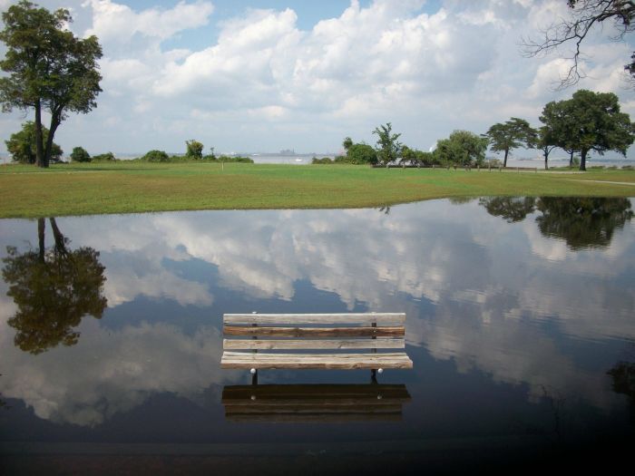 Прикольные картинки (126 фото)