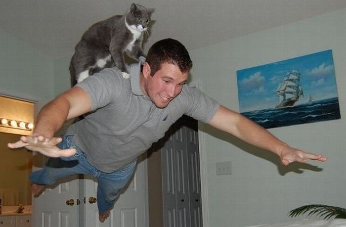 Прикольные картинки (126 фото)