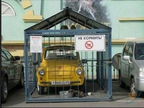 Большая подборка запорожцев на любой вкус (187 фото)