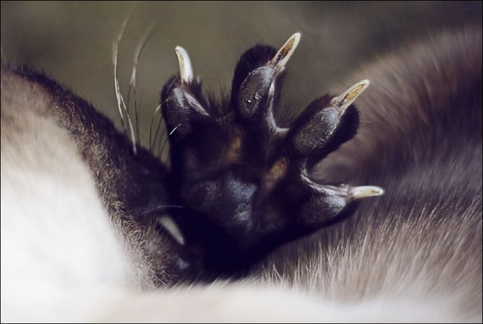 Прикольные картинки (92 фото)