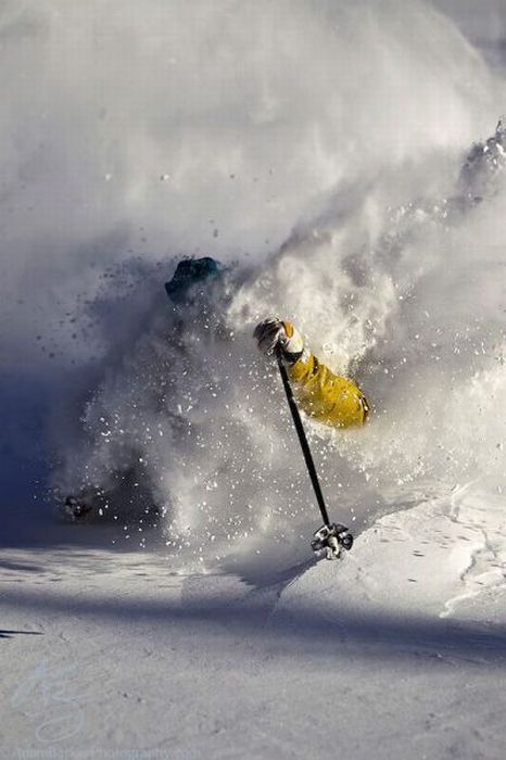 Прикольные картинки (81 фото)