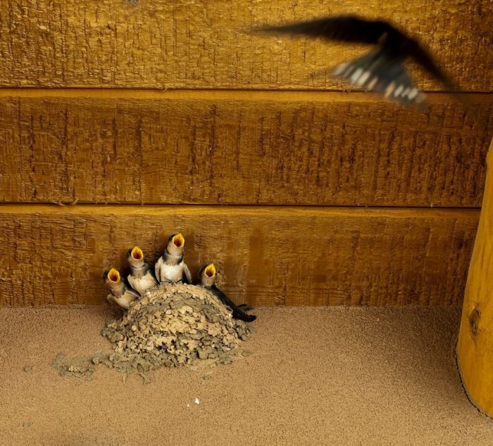 Прикольные картинки (88 фото)