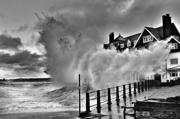 Прикольные картинки (88 фото)