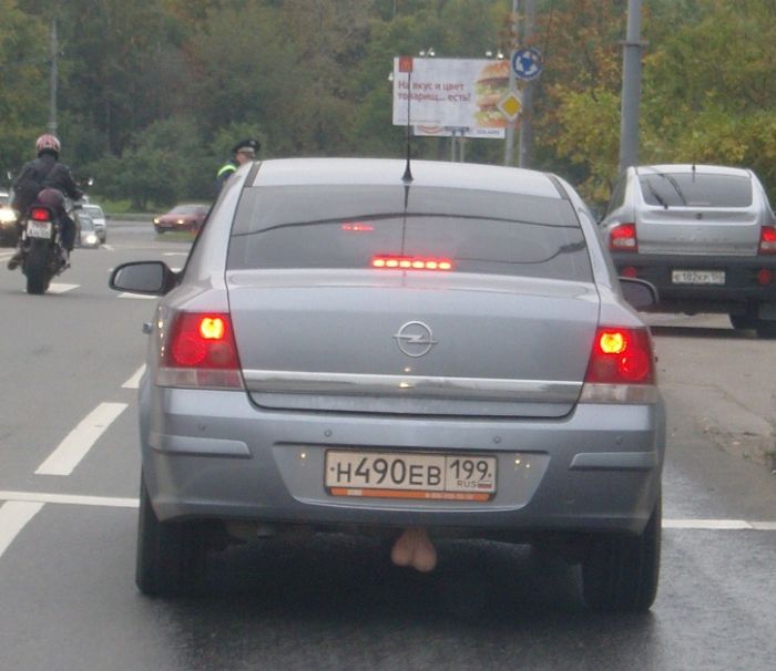 Прикольные картинки (88 фото)