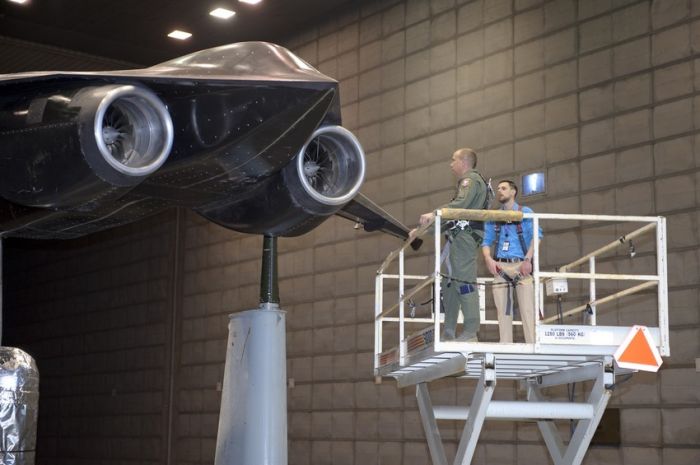 Прикольные картинки (88 фото)